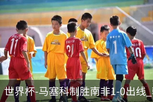 世界杯-马塞科制胜南非1-0出线 韩国积3分获小组第三待定